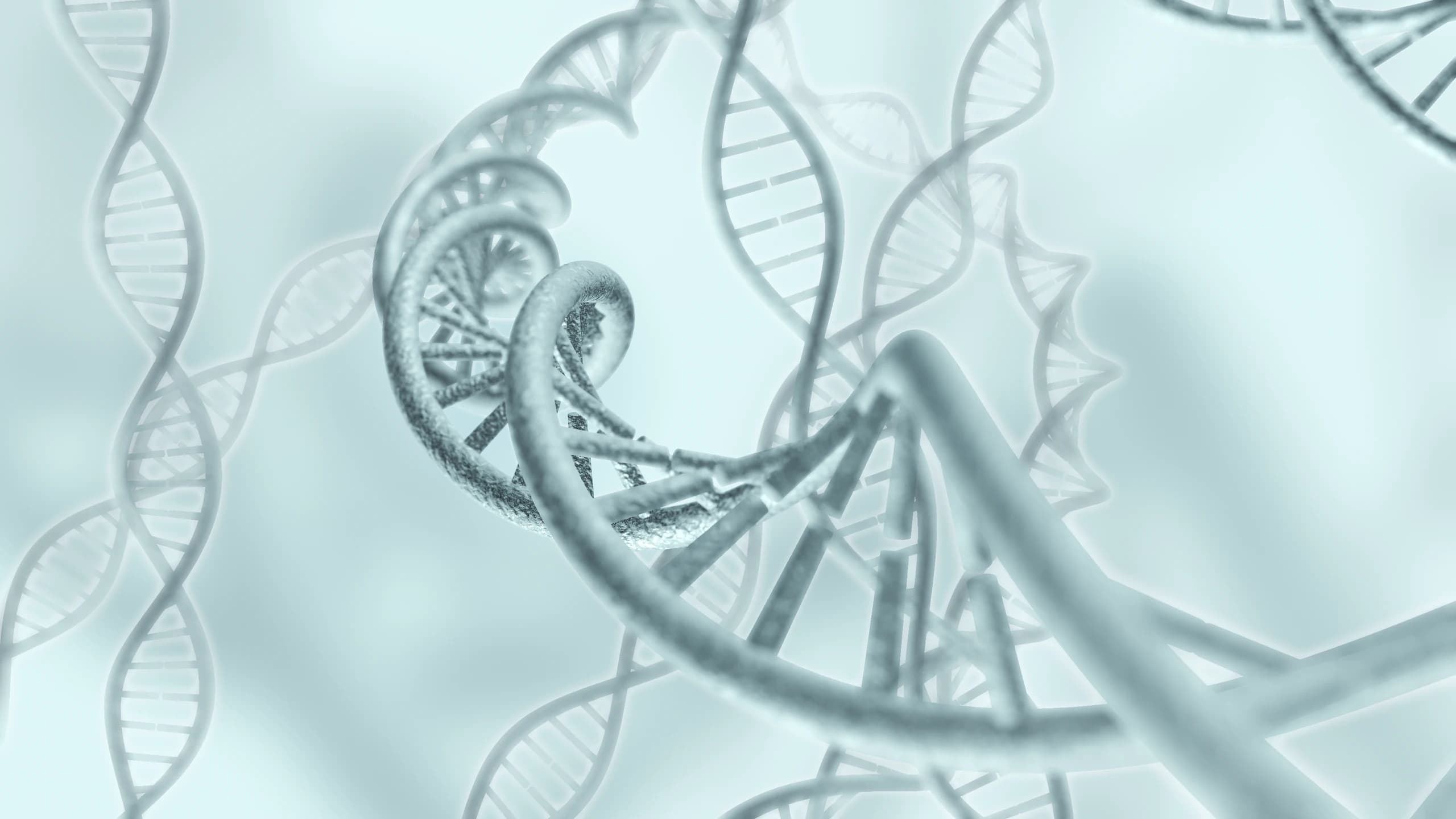 DNA double helix