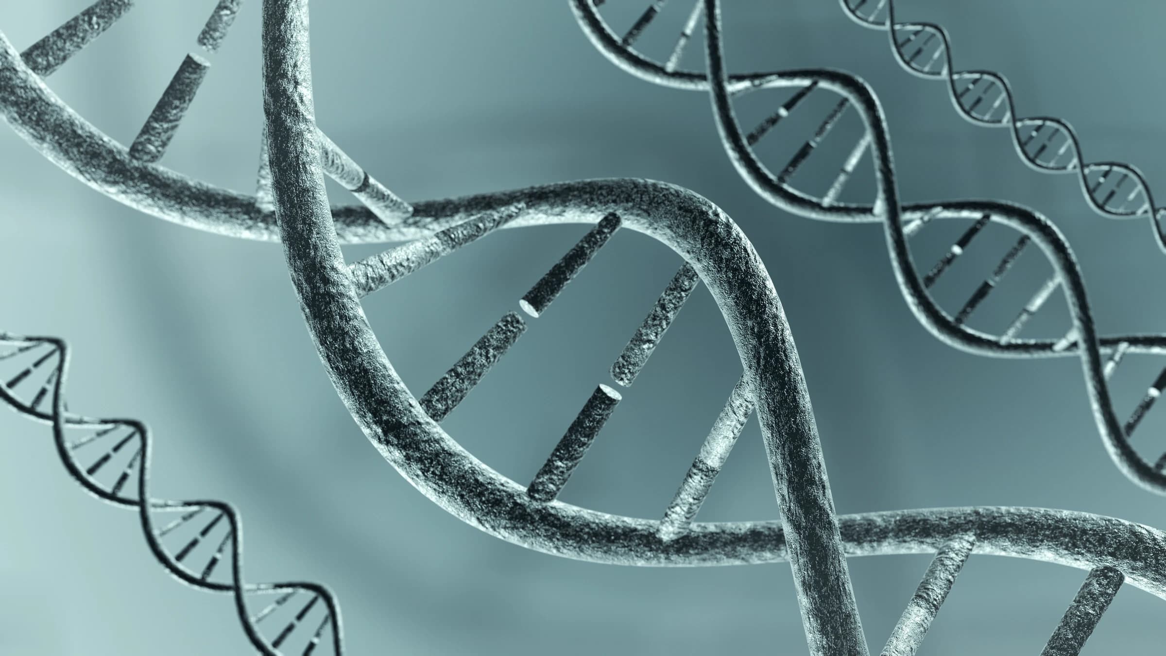 DNA double helix
